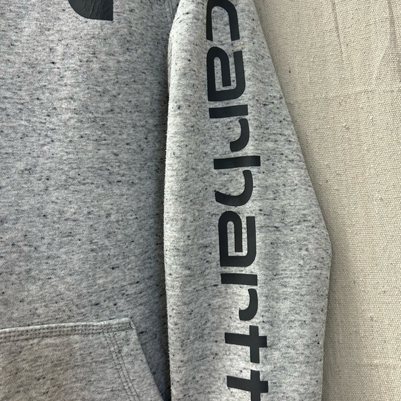 Carhartt/ LOOSE FIT MIDWEIGHT LOGO SLEEVE GRAPHIC HOODIE / - Picture 5 of 13